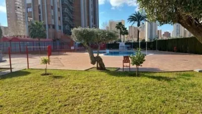 Apartment in Racó de l'Oix photo 2