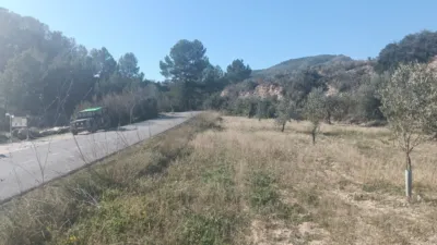 Rustic Finca in Relleu photo 3