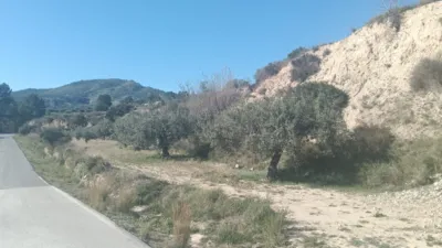 Rustic Finca in Relleu photo 4
