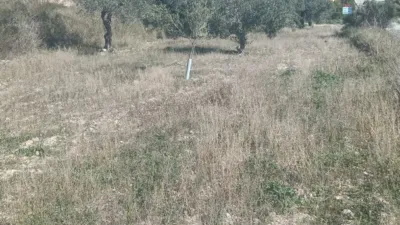 Rustic Finca in Relleu photo 7
