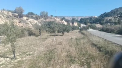 Rustic Finca in Relleu photo 8