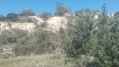 Rustic Finca in Relleu photo 9