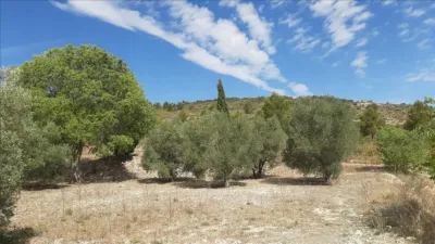 Rustic finca at 7 Les Alqueries Street, No. 6 photo 13