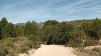Rustic finca at 7 Les Alqueries Street, No. 6 photo 14