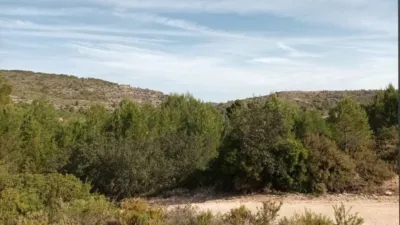 Rustic finca at 7 Les Alqueries Street, No. 6 photo 15