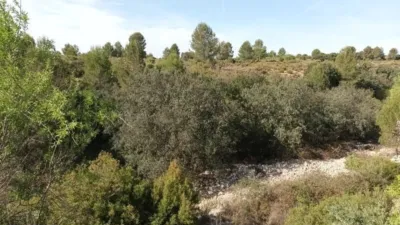 Rustic finca at 7 Les Alqueries Street, No. 6 photo 3