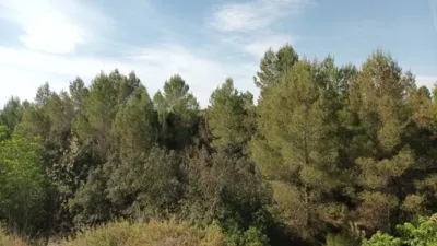 Rustic finca at 7 Les Alqueries Street, No. 6 photo 5