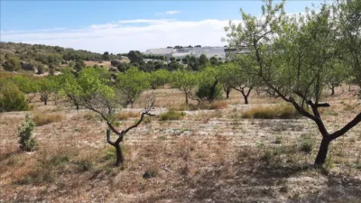 Rustic finca at 7 Les Alqueries Street, No. 6 photo 8