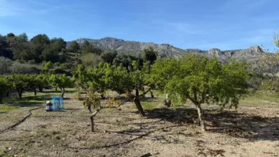 Casa - Más