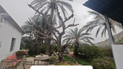 Casa – Orihuela, Raiguero de Bonanza - Vista 3