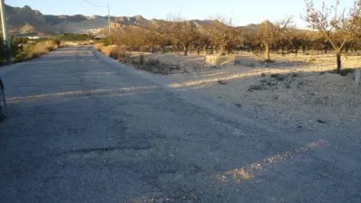 Rustic finca in Abanilla photo 3