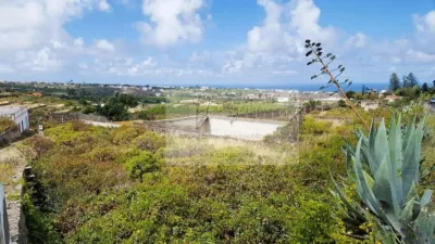 Finca rústica en venta en Núcleo, Núcleo (Arucas) de 1.340.000 €