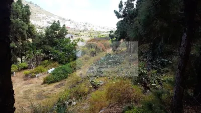 Finca rústica en venta en Núcleo, Núcleo (Arucas) de 1.340.000 €