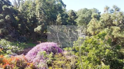 Finca rústica en venta en Núcleo, Núcleo (Arucas) de 1.340.000 €
