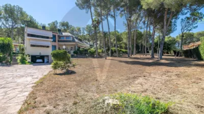 Chalet in Chiva photo 17