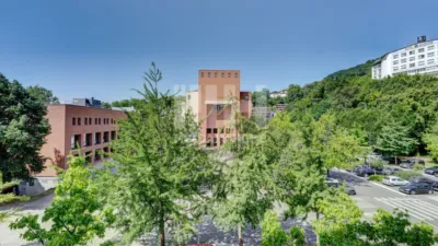 Piso en venta en Antiguo Ondarreta, Antiguo Ondarreta (San Sebastián - Donostia) de 1.250.000 €