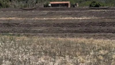 Rustic Finca in Vilaflor de Chasna photo 19