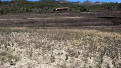Rustic Finca in Vilaflor de Chasna photo 21