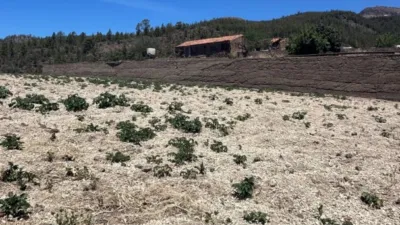 Rustic Finca in Vilaflor de Chasna photo 5