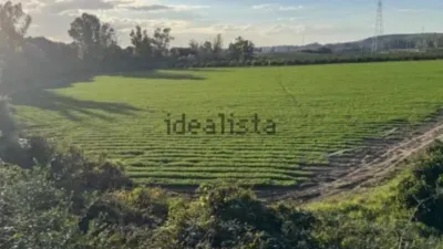 Rustic farm in Arcos de la Frontera photo 2