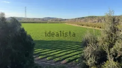 Rustic farm in Arcos de la Frontera photo 4