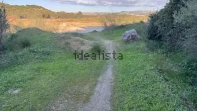 Rustic farm in Arcos de la Frontera photo 6