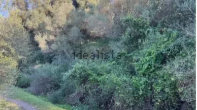 Rustic farm in Arcos de la Frontera photo 7