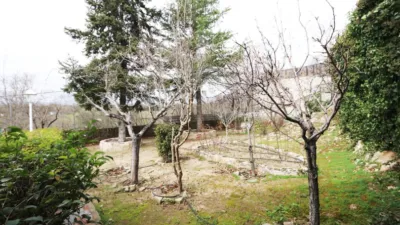 Chalet in Colmenarejo photo 7