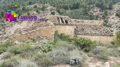 Rustic finca in Albox photo 4
