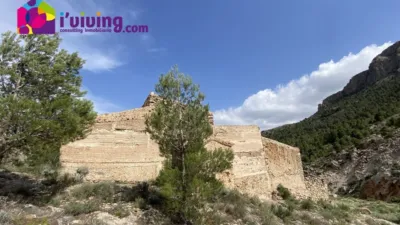 Rustic finca in Albox photo 5