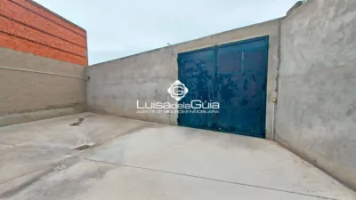 Miniatura 12