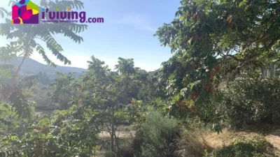 Rustic Finca in Oria photo 32