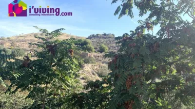 Rustic Finca in Oria photo 33