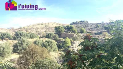Rustic Finca in Oria photo 34