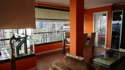Pis – Benidorm - Vista 5