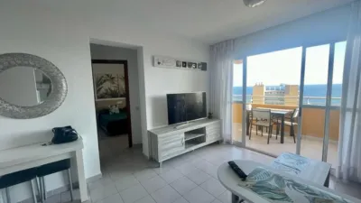 Apartment in Platja de Ponent photo 13