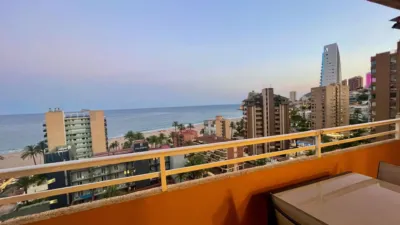 Apartment in Platja de Ponent photo 26