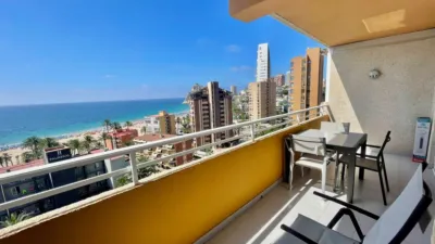 Pis – Benidorm - Vista 4