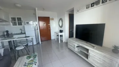 Apartment in Platja de Ponent photo 7