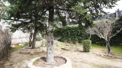 Chalet in Colmenarejo photo 17