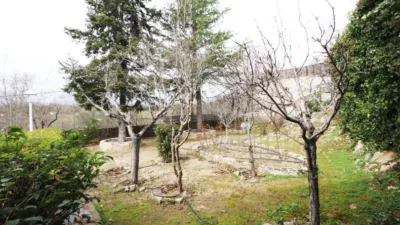 Chalet in Colmenarejo photo 7