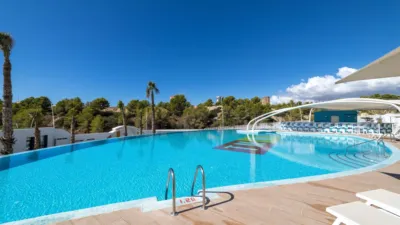 Apartment in Platja de Ponent photo 27