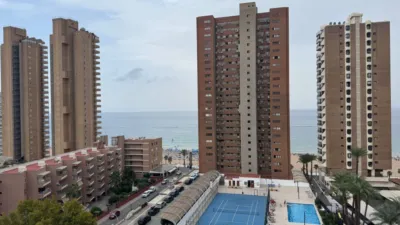 Pis – Benidorm - Vista 3