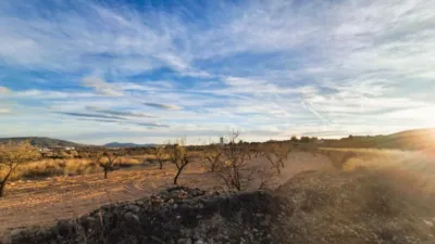 Rustic Finca in Raspay photo 2