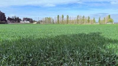 Finca rústica en venta en Casetas-Garrapinillos-Monzalbarba, Casetas-Garrapinillos-Monzalbarba (Zaragoza Capital) de 95.000 €