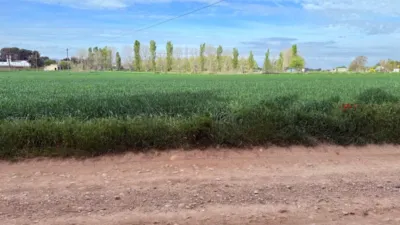 Finca rústica en venta en Casetas-Garrapinillos-Monzalbarba, Casetas-Garrapinillos-Monzalbarba (Zaragoza Capital) de 95.000 €