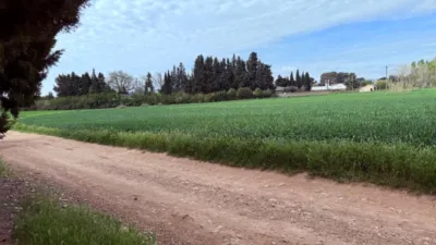 Finca rústica en venta en Casetas-Garrapinillos-Monzalbarba, Casetas-Garrapinillos-Monzalbarba (Zaragoza Capital) de 95.000 €