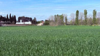 Finca rústica en venta en Casetas-Garrapinillos-Monzalbarba, Casetas-Garrapinillos-Monzalbarba (Zaragoza Capital) de 95.000 €