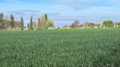 Finca rústica en venta en Casetas-Garrapinillos-Monzalbarba, Casetas-Garrapinillos-Monzalbarba (Zaragoza Capital) de 95.000 €