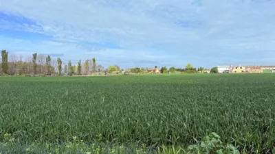 Finca rústica en venta en Casetas-Garrapinillos-Monzalbarba, Casetas-Garrapinillos-Monzalbarba (Zaragoza Capital) de 95.000 €